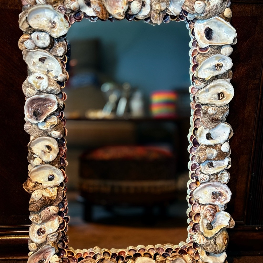 Intricate Shell Wall Mirror - Natural and Cream